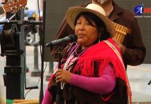 Comisión del senado aprobó 23 escaños reservados para pueblos originarios