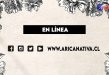 Werner Herzog: invitado de lujo en “Arica Nativa”