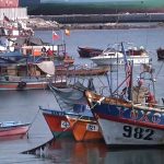 27-3_avanza_proyecto_anulación_ley_pesca_2020_27_11_rb-er-Ib_p2.mp4_snapshot_00.00.000