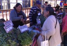 Seremi de Economía informa sobre bonos y nuevas medidas de apoyo a microempresarios