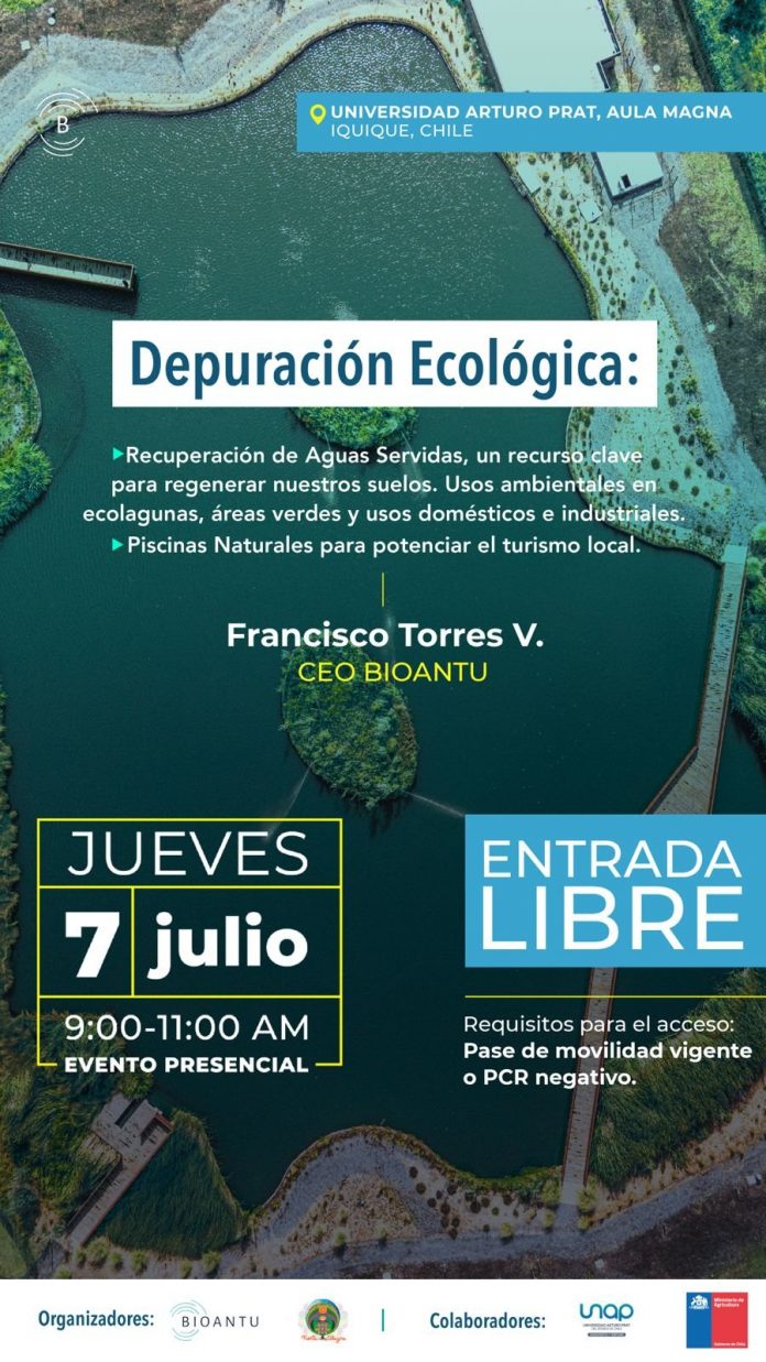 Depuración ecologica