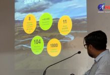 Plantas del desierto: un mundo desconocido