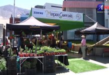 Mercado Campesino: oferta de verano en Zofri