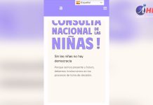 Consulta nacional para identificar interés de niñas, adolescentes y jóvenes en el nuevo proceso constituyente