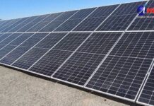 Planta fotovoltaica para cultivo de alfalfa