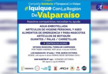“Tarapacá con Valpo” termina este jueves