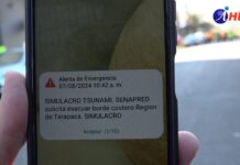 80 mil personas en simulacro de sismo y tsunami