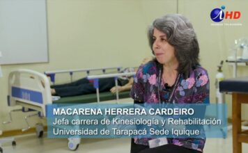 La Kinesiología y su rol clave para prevenir y solucionar lesiones corporales