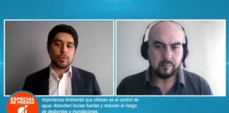 Los humedales pueden salvarnos de inundaciones