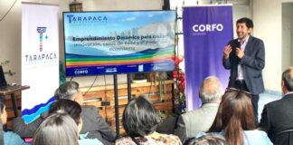 Lanzan programa “Tarapacá + Emprendedor” para iniciativas innovadoras de la región